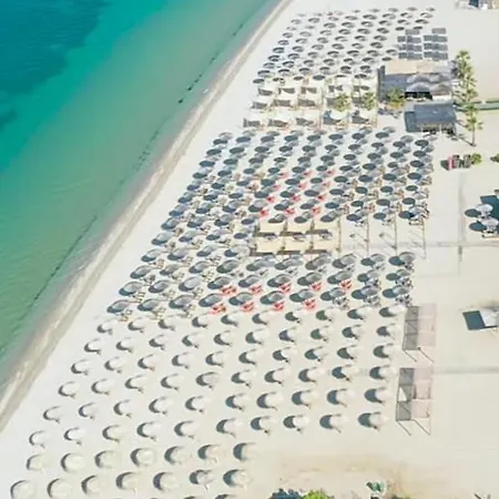 Elizabeth's Apartment2 * Ofrínion