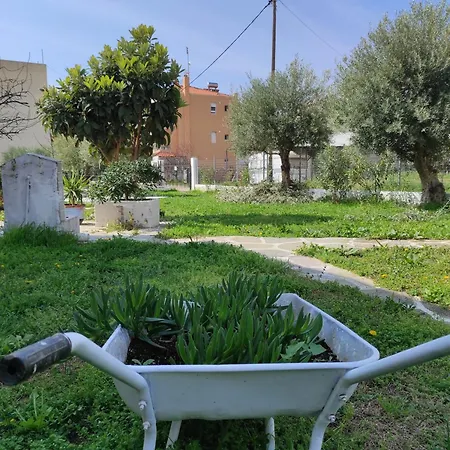 Elizabeth's Apartment2 * Ofrínion